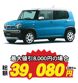 車のタイプ：軽自動車 車検費用